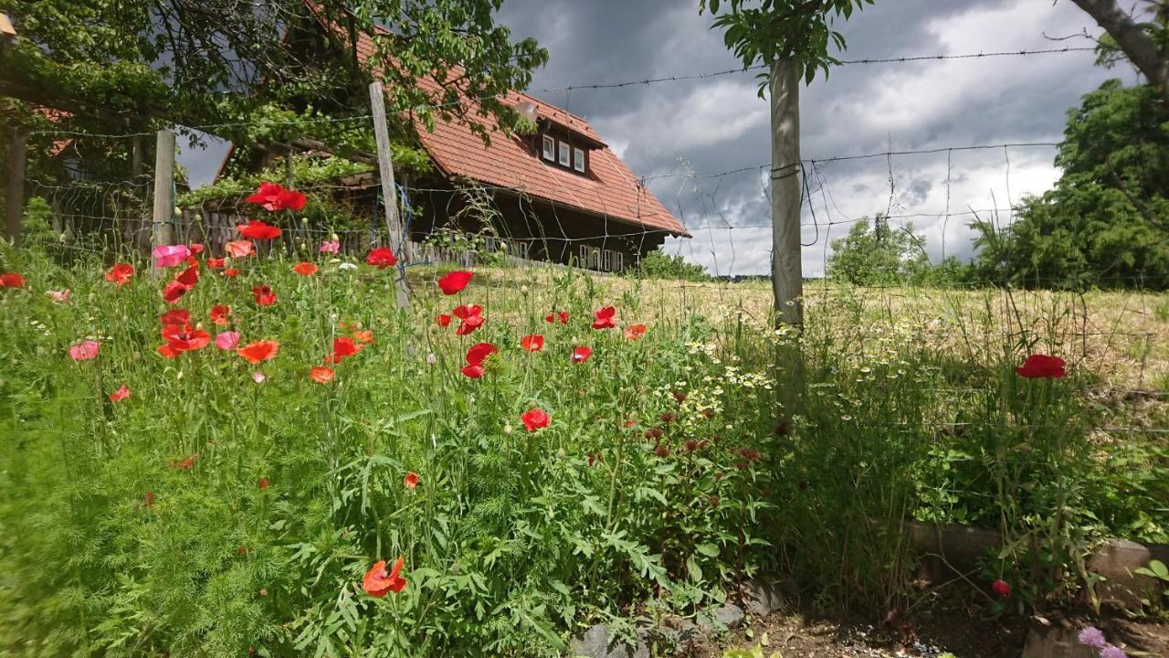 Gaestehaus Der Gamser Winzerstube Bad Gams Exterior photo